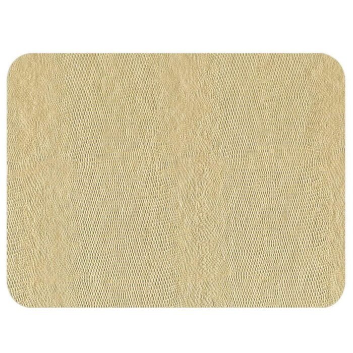 Caspari Lizard Placemats