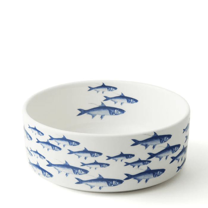 Caskata School of Fish Pet Bowls